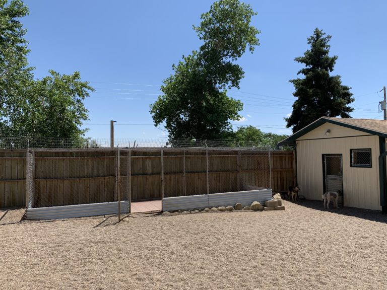 Gallery Rovers Ranch Kennel