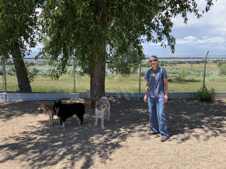 Gallery Rovers Ranch Kennel